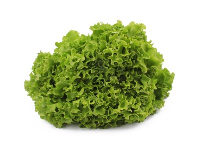 Салат айсберг 300 г - купить в Говкре